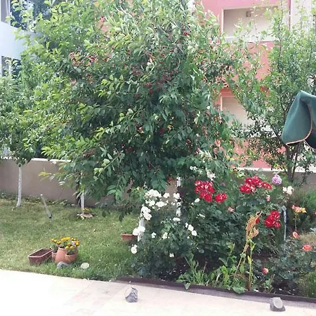 Apartamento Irina Appartments 1 *