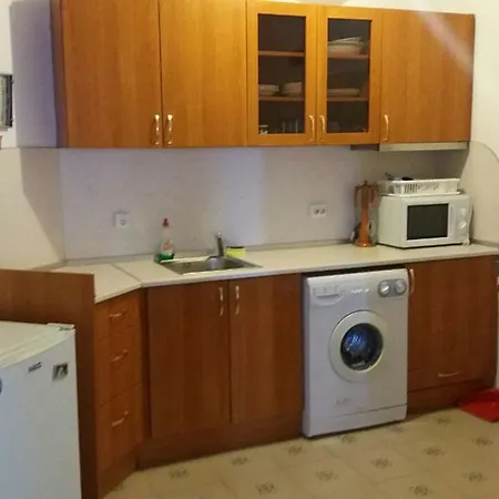 아파트 Irina Appartments 1 스베티 블라스